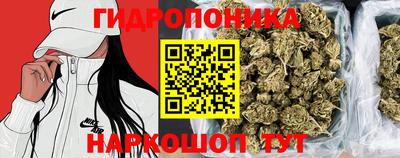 дмт Сланцы