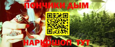дмт Сланцы