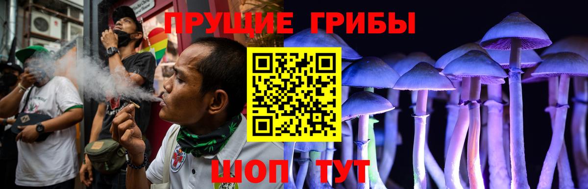 Рославль  Галлюциногенные грибы Psilocybe  Вход с VPN  Псилоцибиновые грибы Psilocybe 